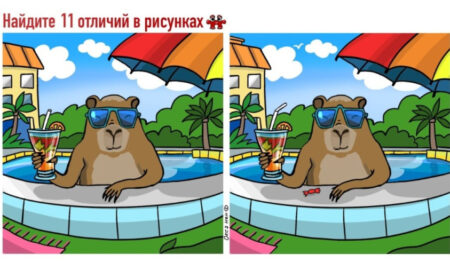 Животное в бассейне