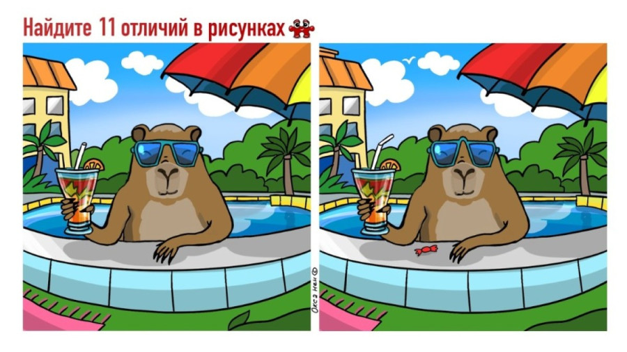 Животное в бассейне