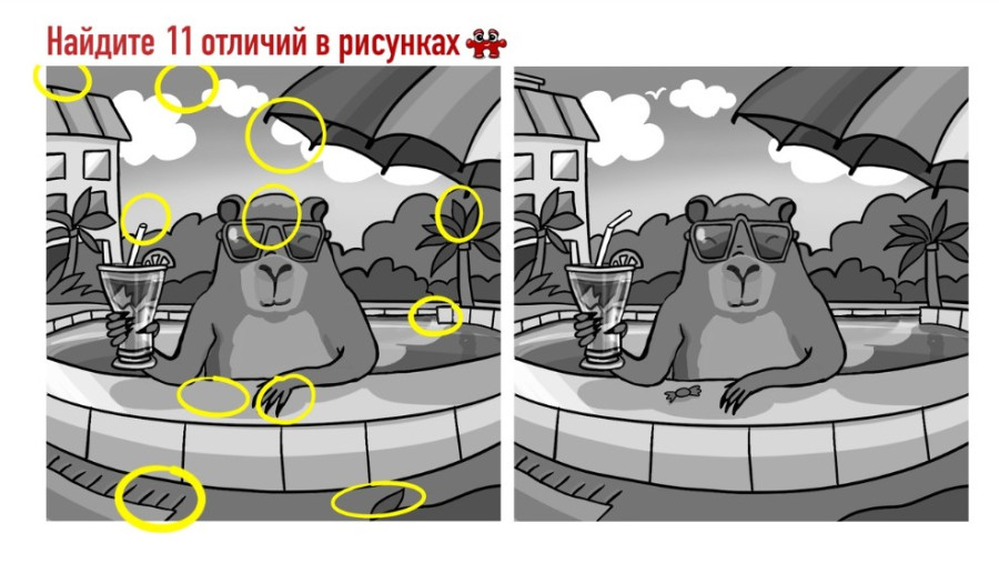 Животное в бассейне