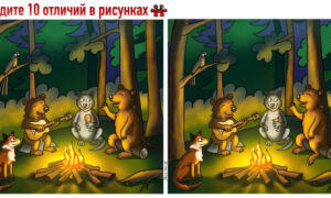 Сидят звери