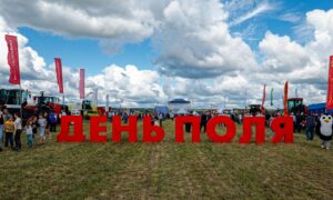 День поля