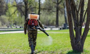 Обработка территорий