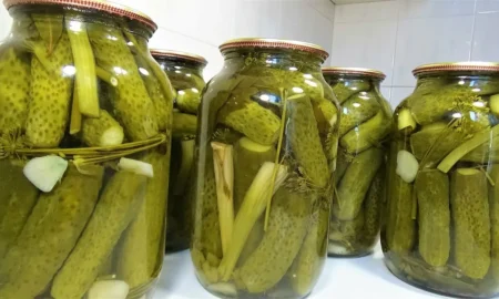 огурцы на зиму