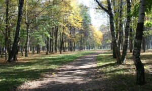 Городской парк