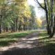 Городской парк