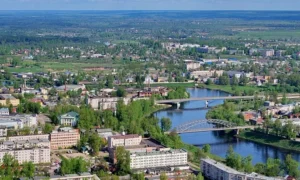 Боровичи
