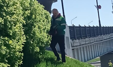 Озеленитель Великого Новгорода стрижет кустарники на набережной Александра Невского рядом с мостом.