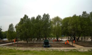 Засев газона