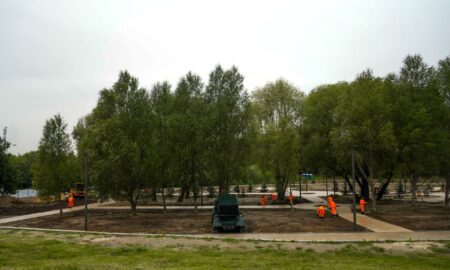 Засев газона