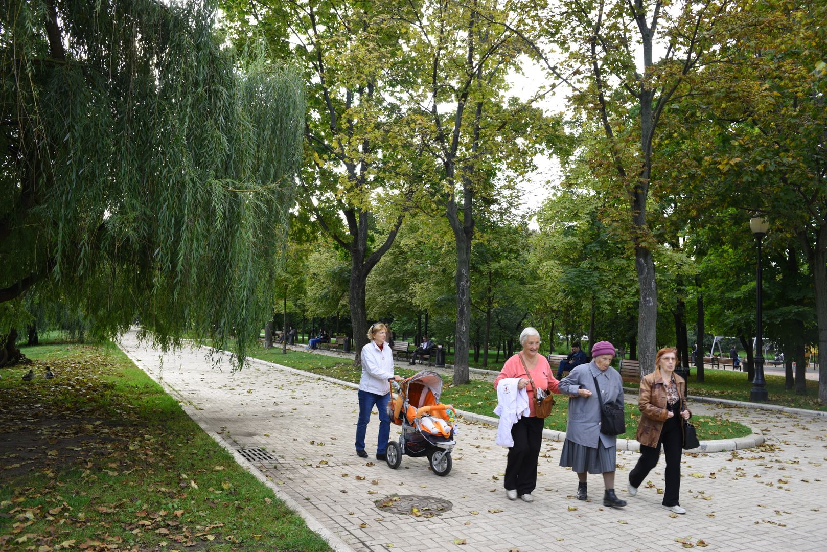 Прогулка по парку