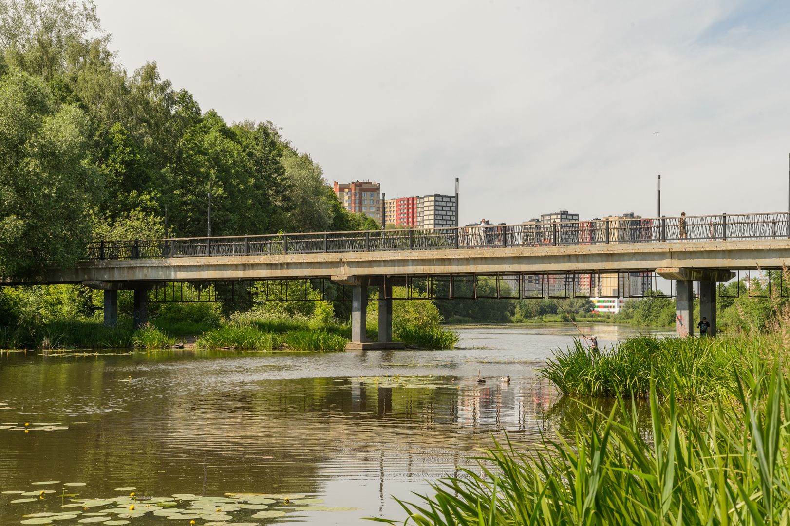 Мост