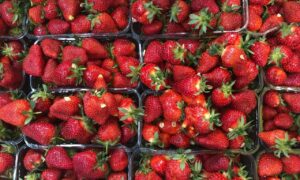 Клубника в упаковках