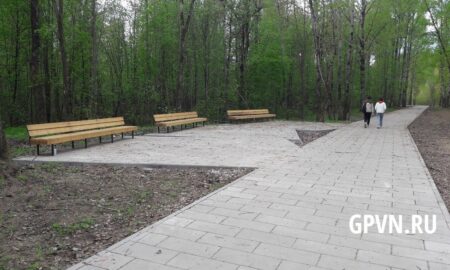 Парк в Великом Новгороде