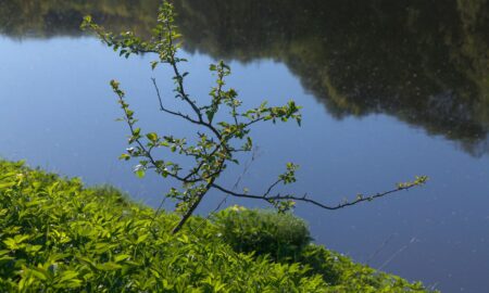 Река