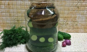 малосольные огурцы