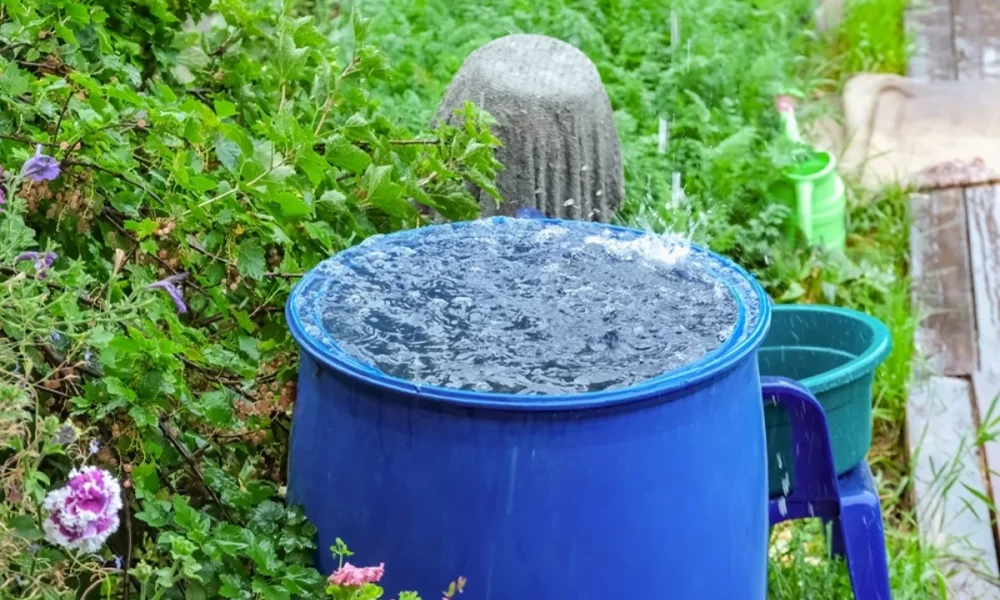 бочка с водой