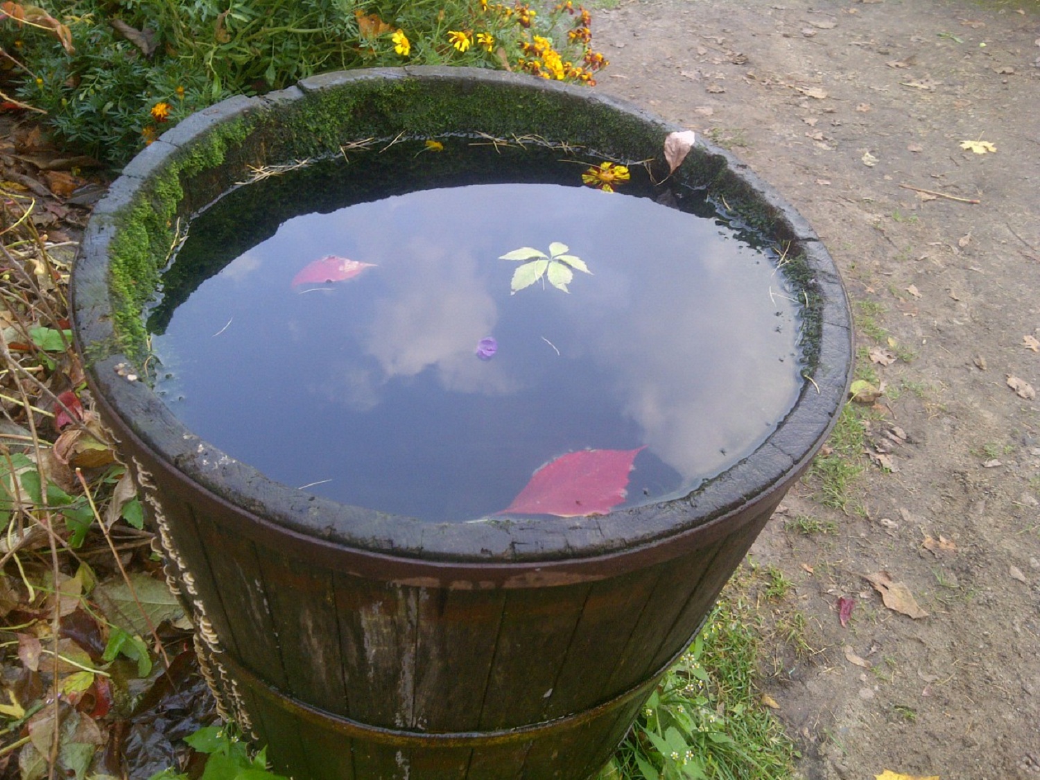 вода с бочкой