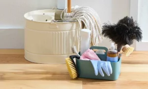 чистота в доме