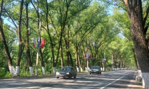 Флаги