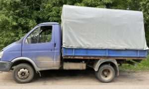 Газель