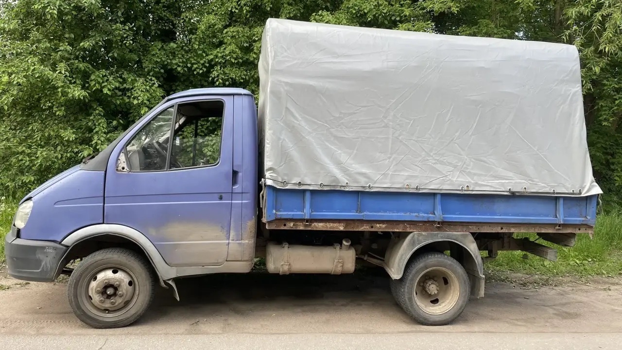 Газель