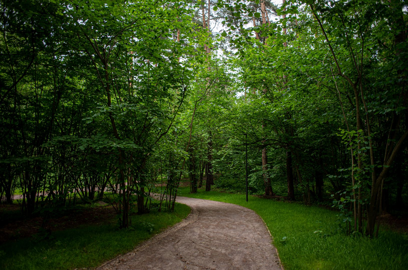 Парк