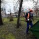 Обрезка деревьев