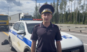 ДТП Новгородская область