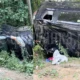 ДТП в Ленинградской области.