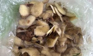 Картофельные очистки.