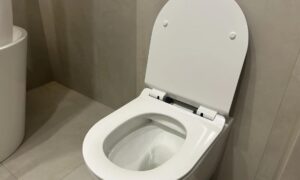 Чистка унитаза.