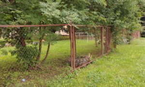 Ржавые заборы детсадов в Боровичах.