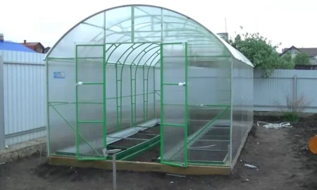 теплица из поликарбоната