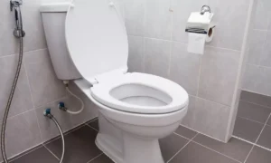 унитаз
