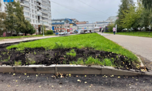 зеленая зона