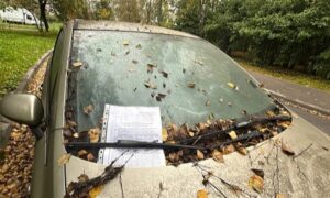автохлам в Новгороде