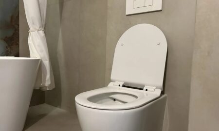 Чистим унитаз.