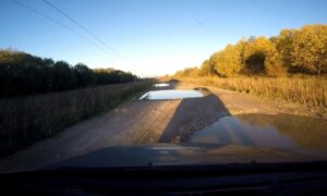 Дорога в Новгородской области