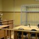 Вынесение приговора в суде в Боровичах