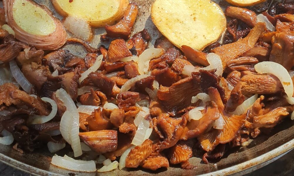 Лисички жаренные с картошкой.