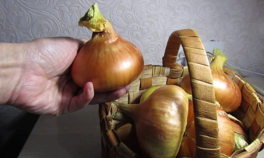Использование лука.