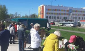 Ярмарка в Боровичах
