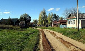 Деревня Соловьево в Новгородской области