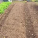 осенние грядки