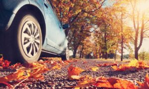 автомобиль осенью