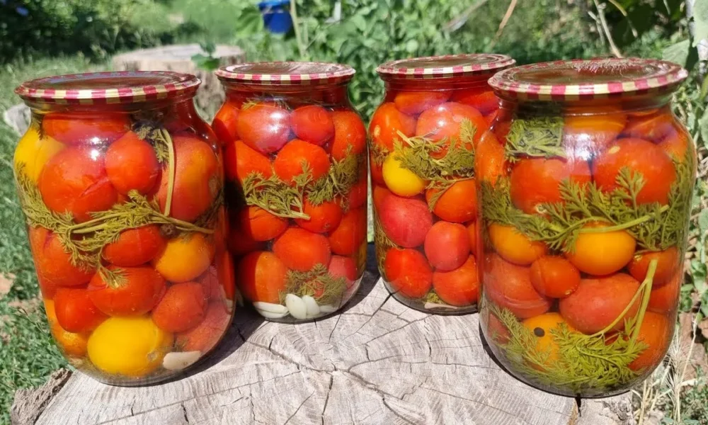 Помидоры с морковной ботвой