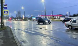 Пешеходы в Новгородской области