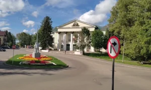 Боровичи