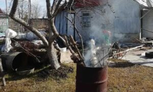МЧС Новгородской области напомнило дачникам строгие правила костров. Теги: костер на даче, тушение огня, осенний сад