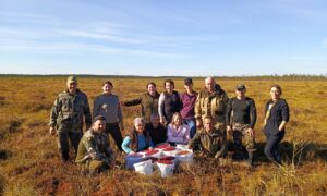 Новгородские госслужащие отправились на топи ради бойцов СВО. Теги: сбор клюквы, болото осенью, лесные ягоды